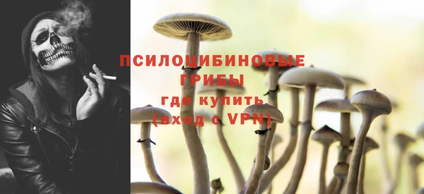ешки Лиски