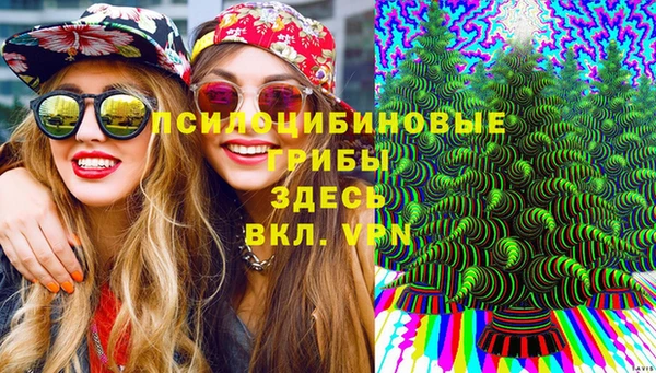 ешки Лиски