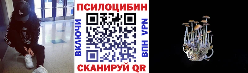 Псилоцибиновые грибы MAGIC MUSHROOMS  Серафимович 